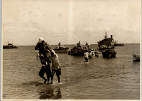 LIV19421
