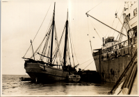 LIV19423