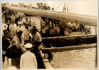 LIV19426
