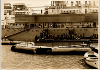LIV19432