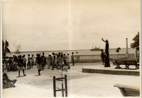 LIV19446