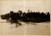 LIV19449