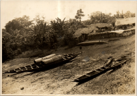 LIV19472
