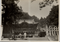 LIV19499