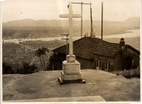 LIV19507