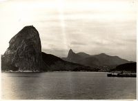 LIV19508