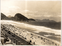 LIV19509