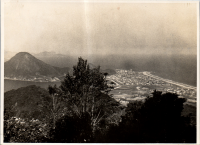 LIV19514