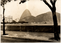 LIV19516