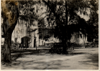 LIV19539