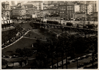 LIV19550