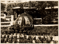 LIV19575