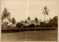 LIV19612