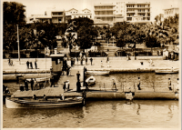 LIV19614