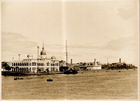 LIV19616