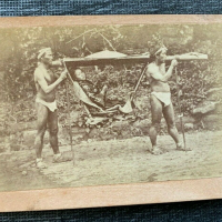 LIV3042