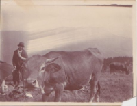 NC168