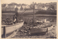 NC242