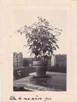 ND495