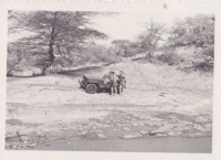 ND665