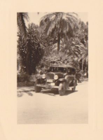 ND675