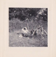 ND854