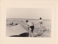 NE114