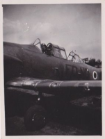 NE167