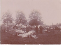 NE181