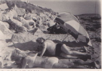 NE193