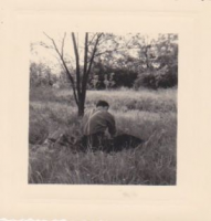 NE907