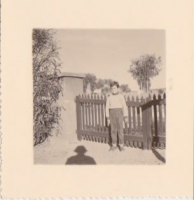 NE958