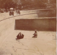 NF018