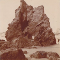 NF033