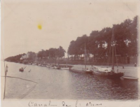 NF100
