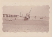 NG439