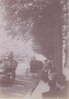 NG479