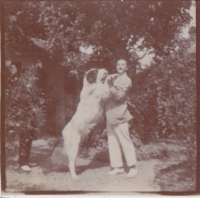 NG556
