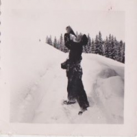 NH228